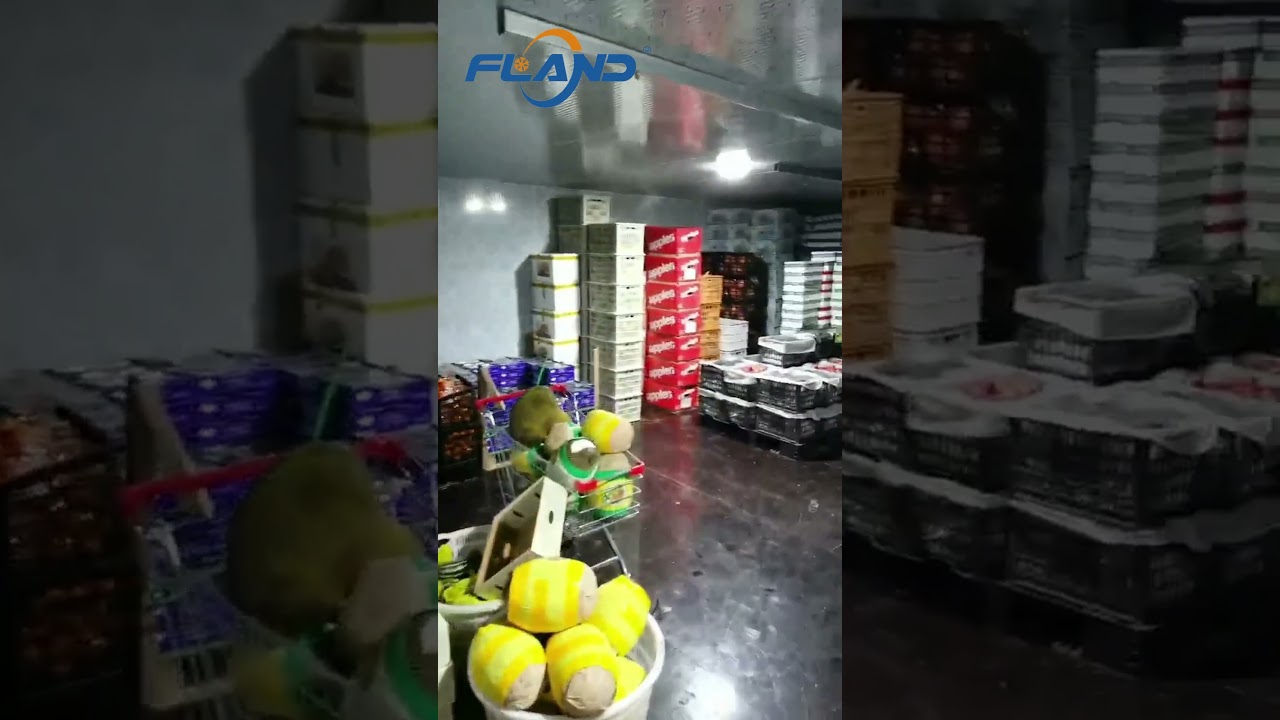 Cold Room for Fruits Storage