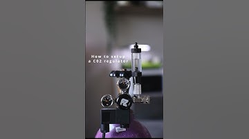 A quick tutorial on how to set up a CO2 regulator. #aquascaping #aquascapers #tutorial #aquascape