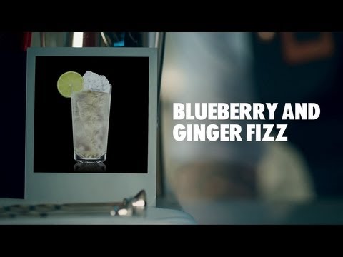 blueberry-and-ginger-fizz-drink-recipe---how-to-mix