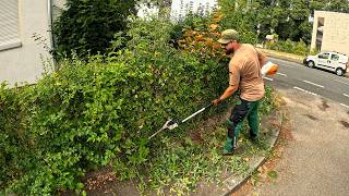 This OVERGROWN Yard DESPERATELY Needed Someone to Bring It BACK TO LIFE