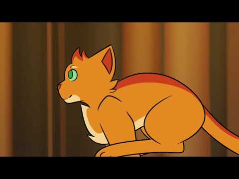 PART 9 Warrior Cats MAP "Run Wild"