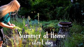 Quiet August Afternoon | Wet Cyanotype & Garden to Table Pasta