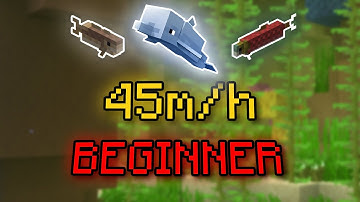 How to Make 45m/h as A BEGINNER With Hunting | Hypixel Skyblock Water Hunting