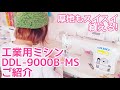【JUKI 工業用ミシン DDL-9000B-MS】詳しくご紹介&語ります!!