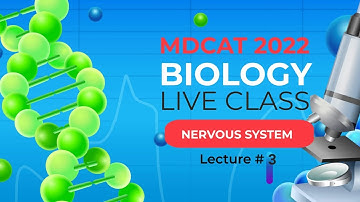 MDCAT 2022 Biology Live Class Nervous System Lecture-3 #mdcat