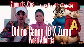 Didine Canon 16 X Zuma Woed Atlantis (Chipmunks Version بصوت السناجب)