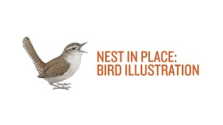 Nest in Place: Bird Illustration