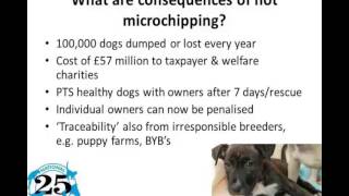 What happens when you do not microchip your dog?