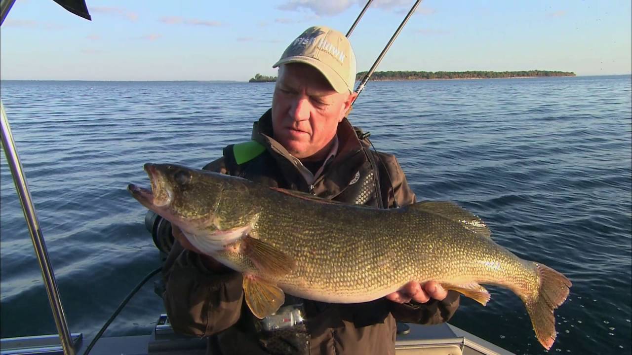 Pêcher au Doré au Québec: Guide Complet (2024) - Pêche 101