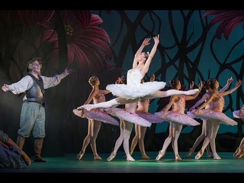 Don Quixote: An introduction to Act Two (The Royal Ballet) Instructional Video