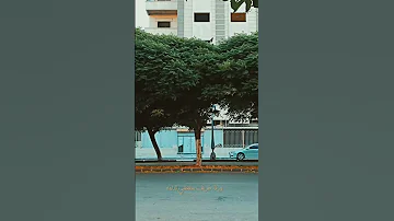 ملحم زين انتي مشيتي 