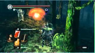 Dark Souls - Gamerboy385 is best at life.