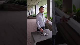 Smokers Paradise - Hong Kong Science Park
