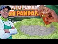 Putu Mayam Hijau, Resepi Warisan Turun Temurun dari Keluarga Mertua | Putu Mayam Sri Pandan