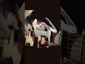 Mera dil ye pukare | guitar fingerstyle cover #song #short #music #viral #indian #indiansong #beats