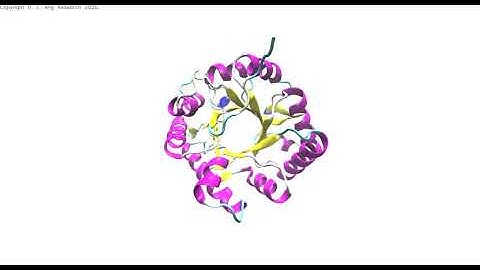 Molecular dynamics trajectory of a chitinase protein.