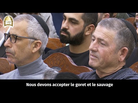 Comment éduquer un sauvage pour qu'il devienne un homme. Un moment de lumière