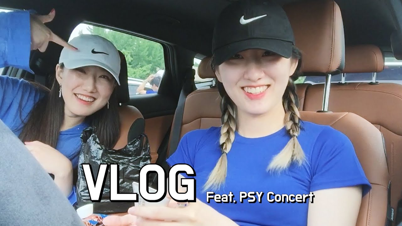 [VLOG] 2022 싸이 콘서트를 다녀왔다 | 스머프 | 스탠딩 가구역 | Feat. 지애