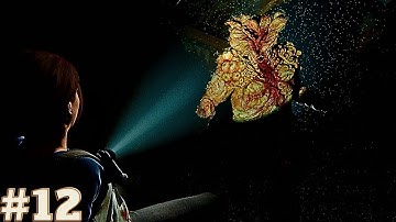 The Last Of Us 2 Walkthrough Gameplay Part 12 - Tommy and Joel Flashback