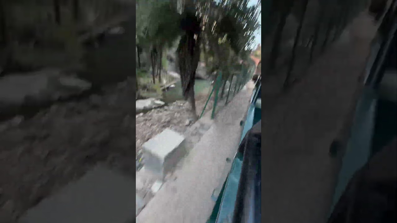 Tiger attacks on canter 😱| searching for tiger 😱 