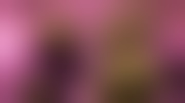 RDWC DIY 4 Bucket build update - recirculating deep water culture