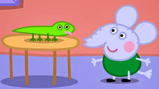 best school pet competition kids videos peppa pig full episodes