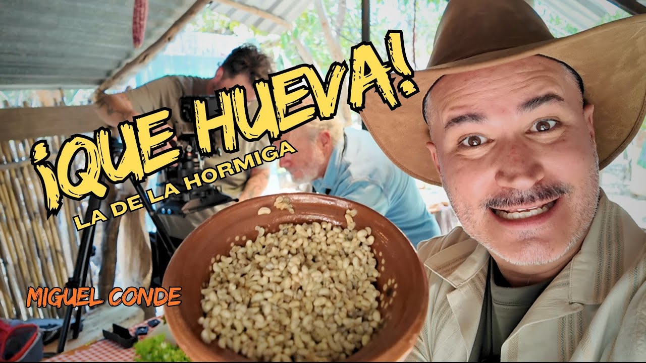 Descubre el secreto de la hueva de la hormiga