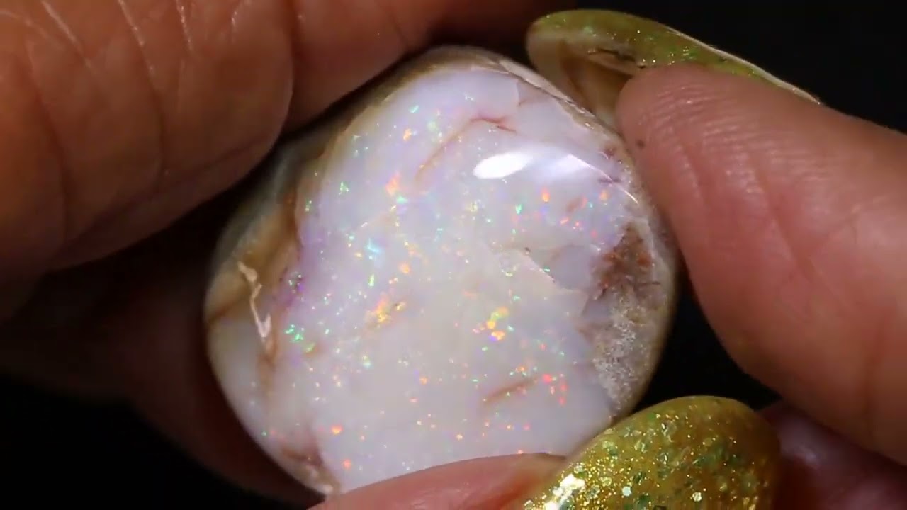 32.2 cts Clam Shell Opalized Fossil FO-2653