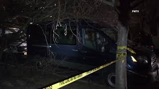 Tree Collapses On Two Parked Vans - Queens