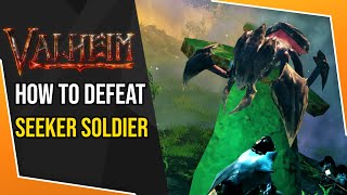 Safest Way To Defeat Seeker Solider