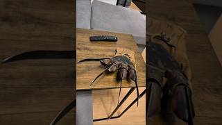 freddy krueger Glove it alive