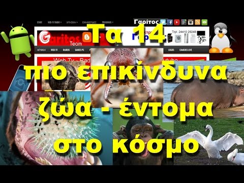 Τα 14 πιο επικίνδυνα δολοφόνοι ζώα - έντομα στον κόσμο