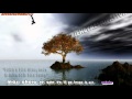 Tu Bandera Jesus Adrian Romero Karaoke Subtitulado Cristiana