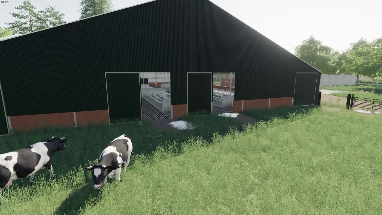 Cow Update Cows update GreenRiver2019 - YouTube