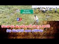 కలువాయి మండలంలో వర్షాల దాటికి నీట మునిగిన 400 ఎకరాలు || AP1 TV TELUGU ||
