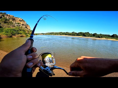 Exploring New Waters in Search of Hard Fighting River Tigers
