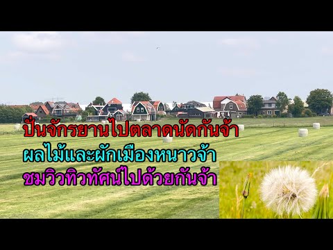 ep153ปั่นจักรยานไปตลาดนัดกันจ้า ผลไม้ผักเมืองหนาวจ้า เนเธอร์แลนด์้ ชมวิวทิวทัศน์สองข้างทางค่ะ