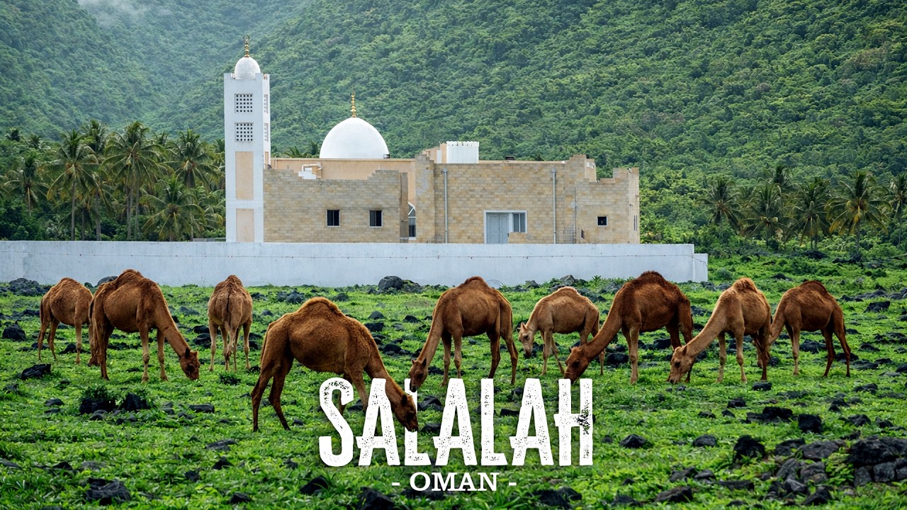The Peaceful Life of Salalah, Oman – A Tropical Gem in Arabia