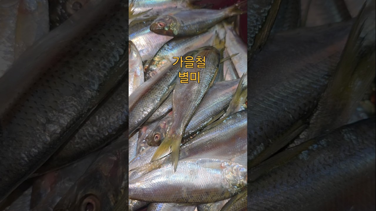 가을철 별미 전어구이 레시피 숏폼 썸네일
