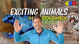 Most Exotic Animals in Colombia | Wildlife Guide