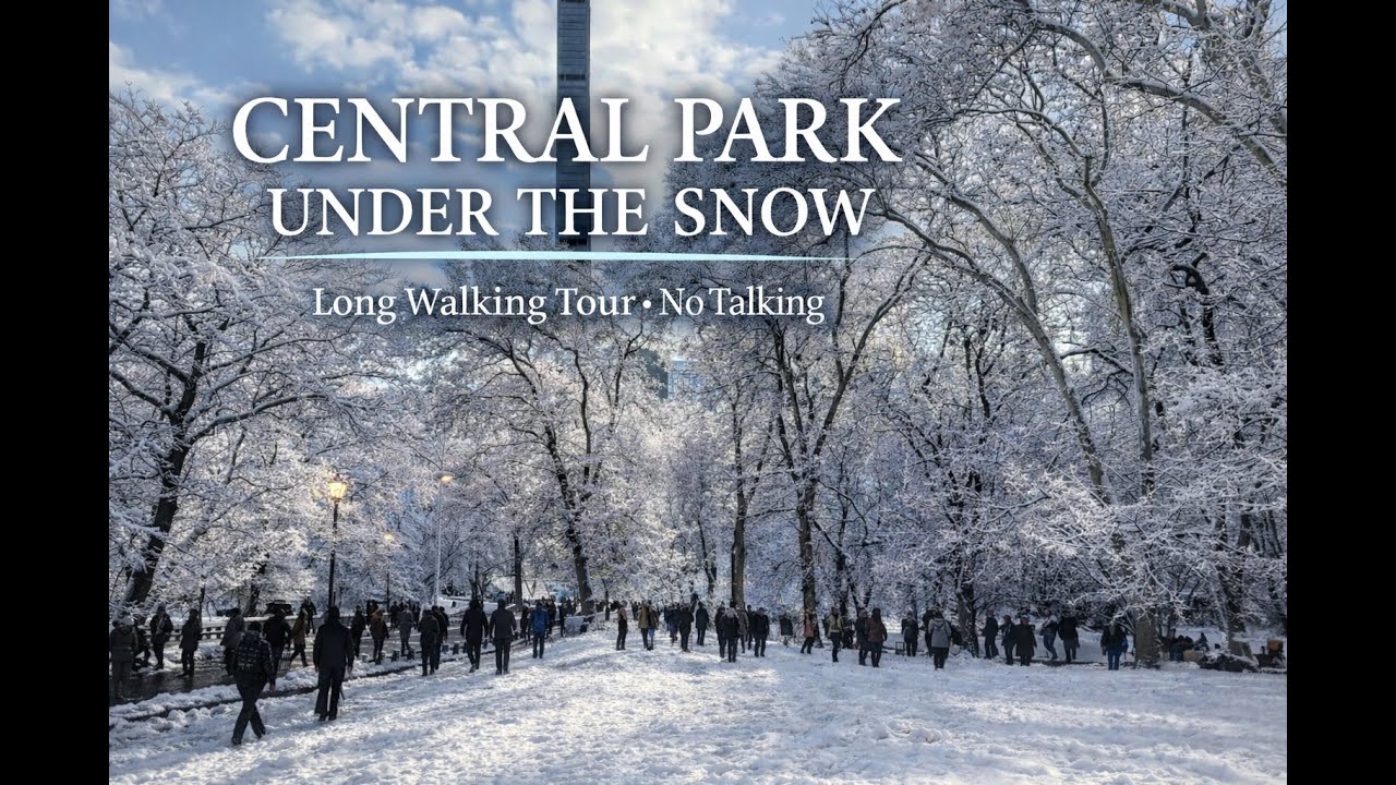 Central Park Winter Snow Walk NYC No Talking