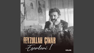 Bana Gül Diyorlar (Feyzullah Çınar Eserleri 1)