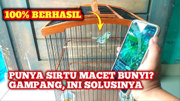Cara Mengatasi Sirtu Macet Bunyi supaya Gacor kembali‼️ Ampuh 100%