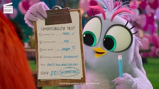 Angry Birds - Copains comme cochons : Pas compatibles (CLIP HD)