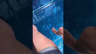 Things to do in Cozumel Mexico 🇲🇽🌮
