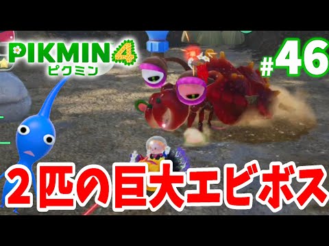 ピクミン2 Two giant shrimp!? Let's burn them, freeze them, and move forward