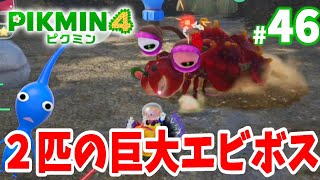 ピクミン mqdefault.jpg