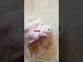 i got a #jimmythepiggy