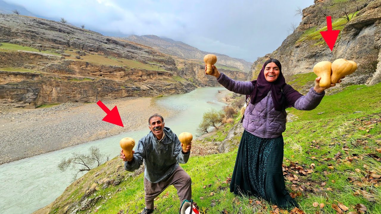Two nomadic couples go to the mountains to gather wild fruits for household expenses.