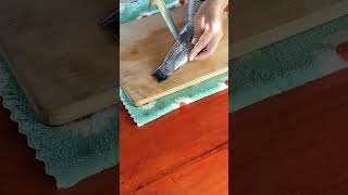 It's so delicious Souper easy fish recipe #food #yummy #cooking #shorts